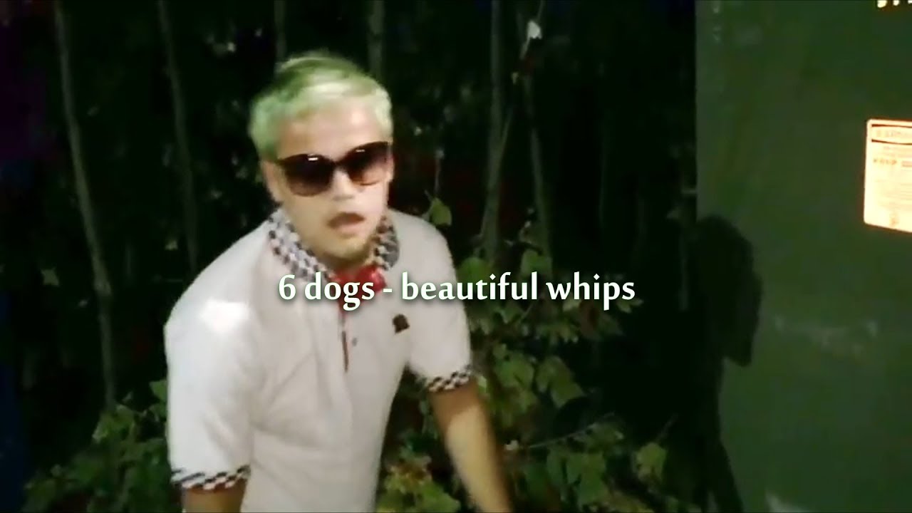 6 dogs - beautiful whips / перевод / rus subs