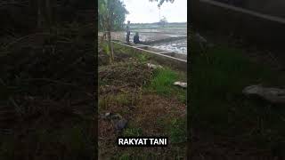 Download Lagu Mari Bertani MP3