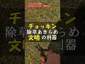 クラピアのチョッキン除草あきらめ文明の利器 #Shorts