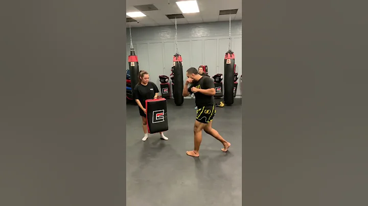 Basic Kickboxing Combos