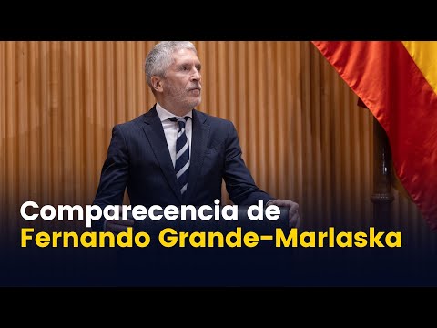 Comparecencia de Fernando Grande-Marlaska sobre la política del Ministerio del Interior