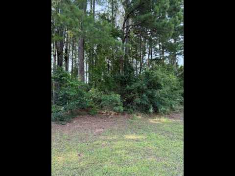 2140 Watersong Run, Sumter, SC home video tour
