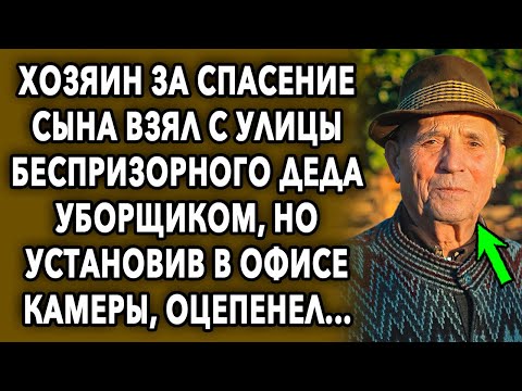 Он взял с улицы беспризорного деда уборщиком, но установив в офисе камеры, оцепенел...