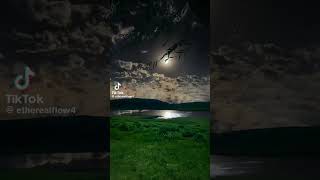 🌲 Nature & Forest Videos🌅 Beautiful Sunsets🎥 Daily Relaxing Content