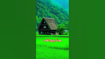 آبداع القارئ | #عبدالباسط_عبدالصمد |#اكسبلور