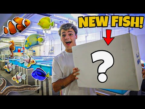 FINALLY *FISH* ARE IN MY 160G SALTWATER TANK!! (crazy)