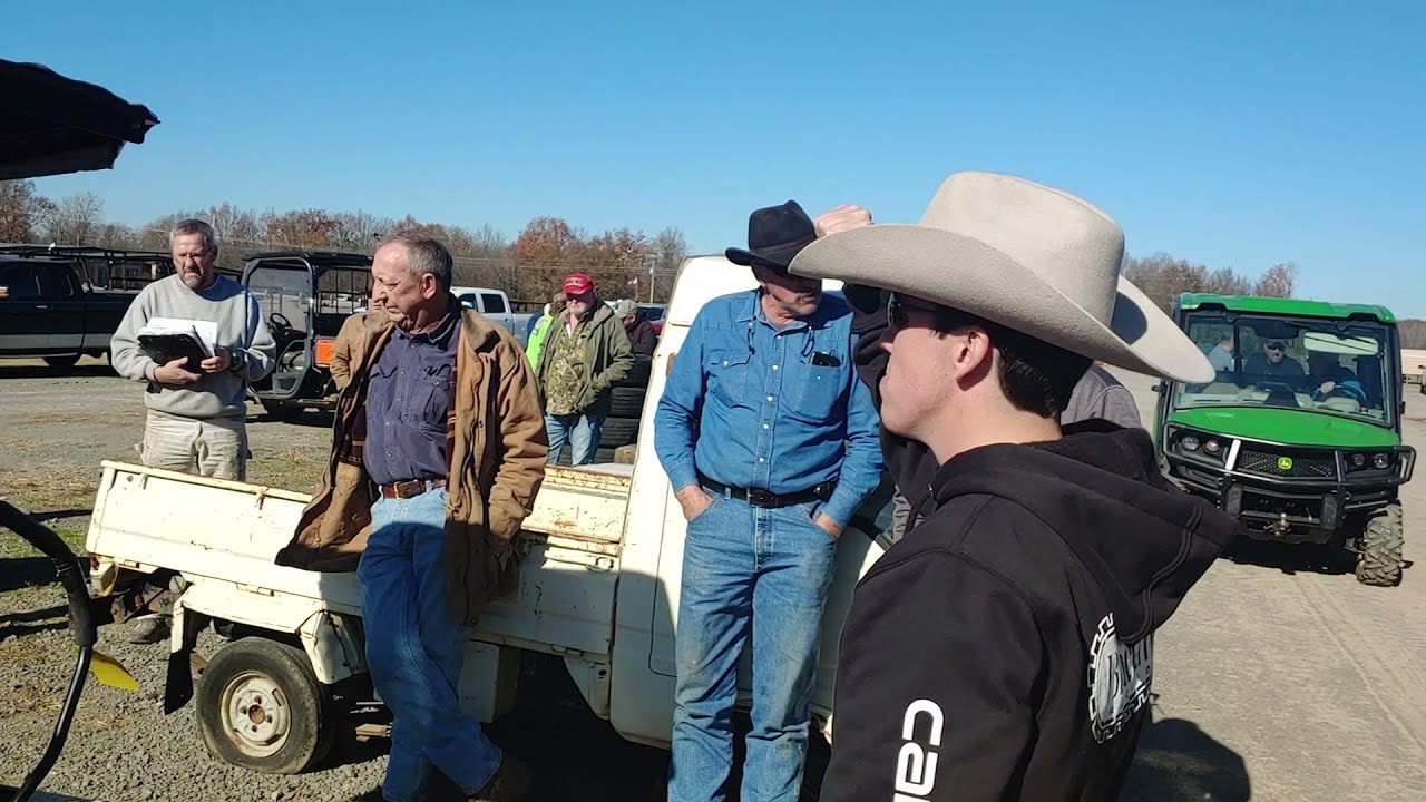 Arkansas auction lots are sparse, but business is brisk