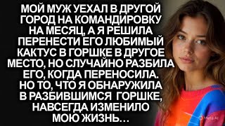 видео: Случайно разбив горшок с кактусом мужа, я обнаружила то, что изменило мою жизнь навсегда |Шокирующая картинка: Случайно разбив горшок с кактусом мужа, я обнаружила то, что изменило мою жизнь навсегда |Шокирующая