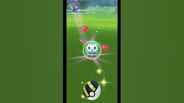 Got 💯IV✨shiny Rowlet✨in Pokémon Go😍🤯😍#pokemongo#shorts#short#rowlet#shiny#100iv#catch#shinypokemon
