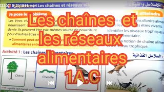 Les chaînes et réseaux  alimentaires : 1AC Chap4 Séq1 ?