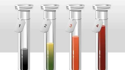 Test Tubes Stage Diagrams