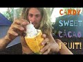 Tasting Farm Fresh Cacao Fruit in My Village  Village Vlogs