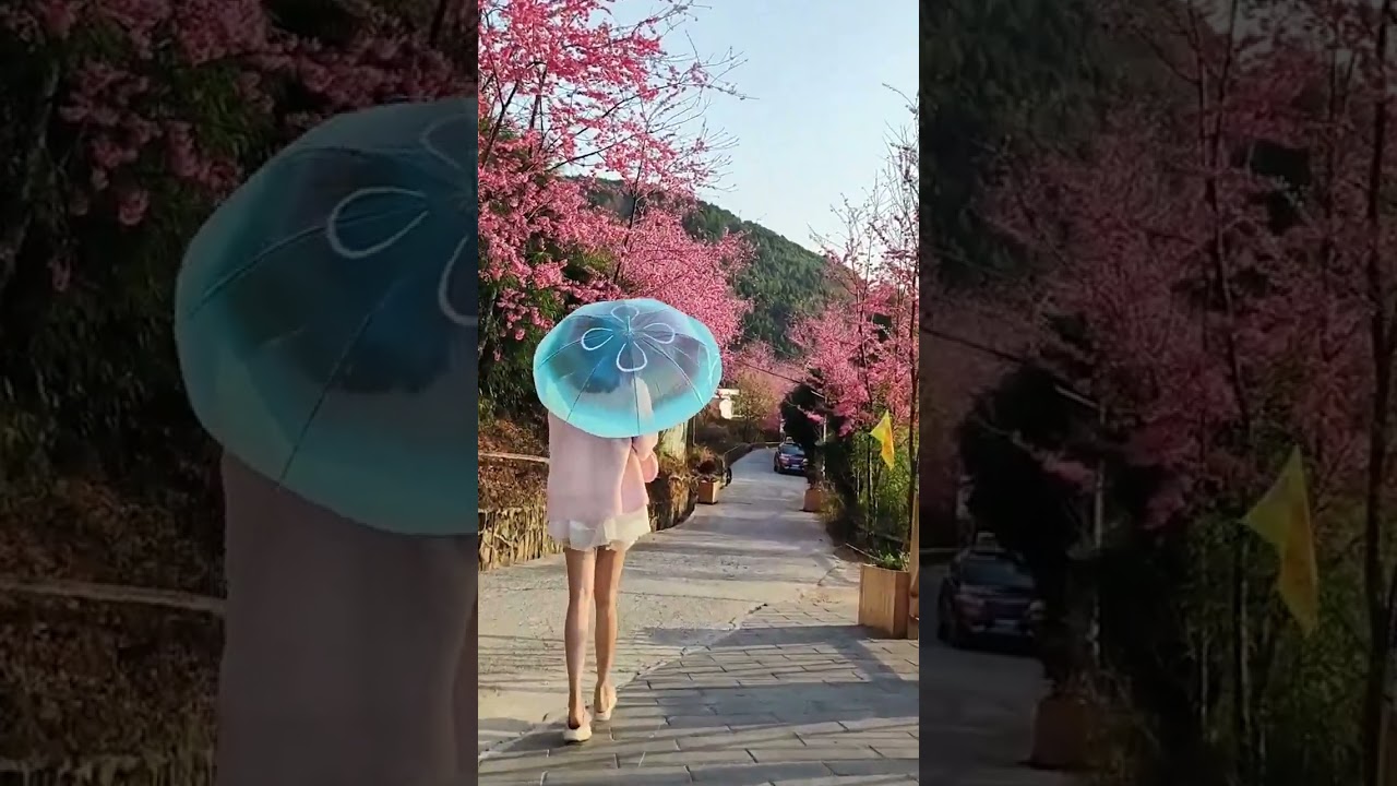 Plastic Poe Umbrella Clear Bubble Rain & Windproof Umbrella Perfect For Weddings Colorful Design