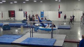 Colin Milson / 2017 Regionals / Parallel Bars
