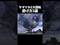 ヤマツカミ回転攻撃の避け方