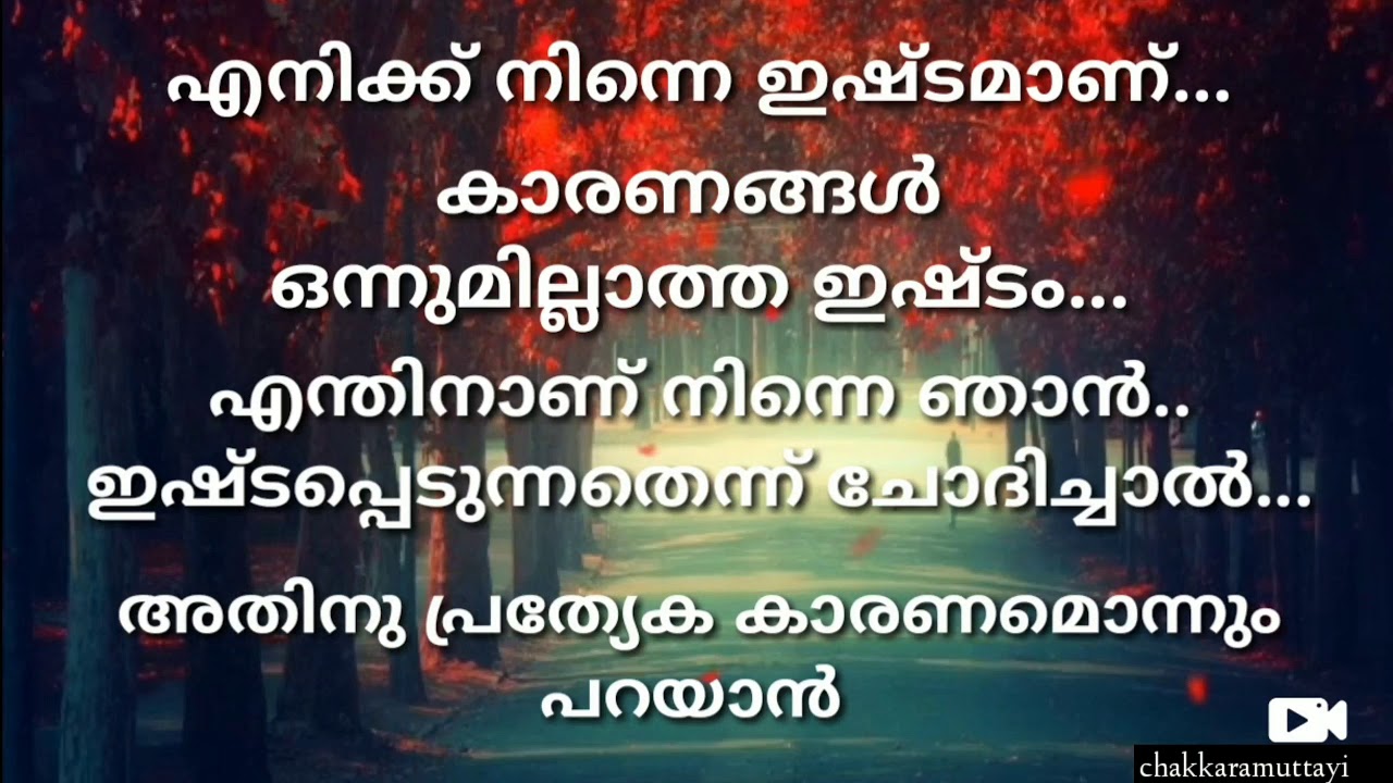 New Malayalam Love Whatsap status | Beautiful Love Status ...