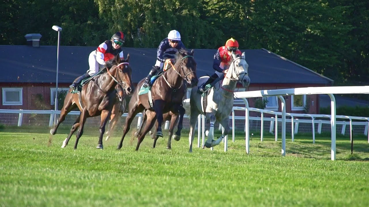 Øvrevoll Galopp løpsdag 01.09.2022. Løp #2 kl. 17:50, 2-ÅRS MAIDENLØP (1170gr)