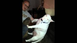 Celebrity Daddy can I have another MARROW BONE please♡♡♡♡♡ Profile