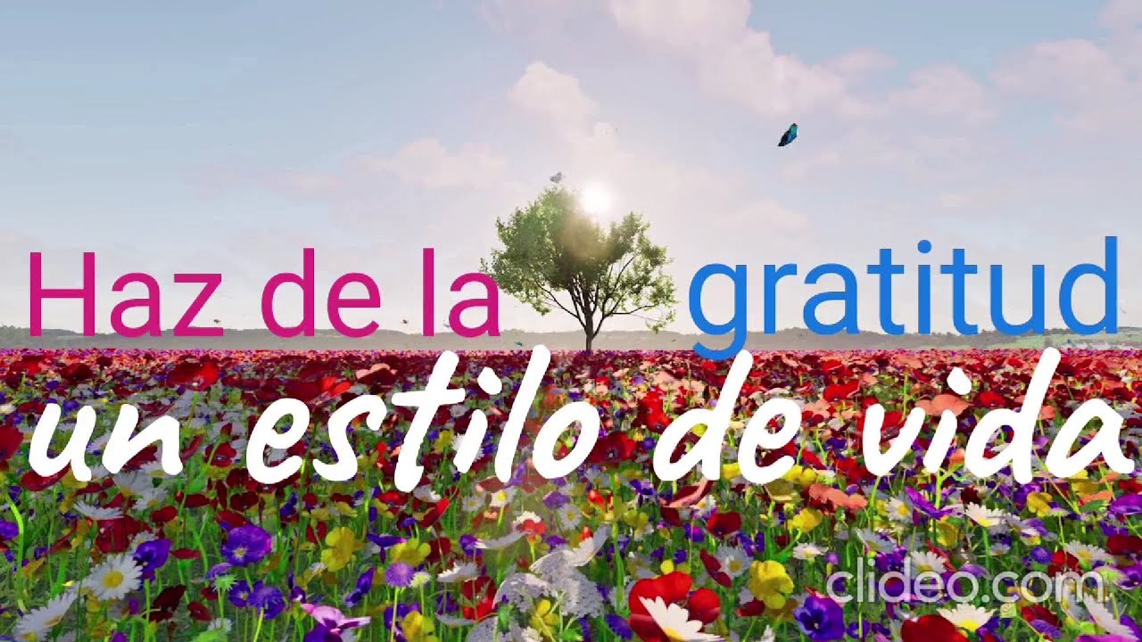 10 Beneficios De La Gratitud : Cuáles son los beneficios de la gratitud ...