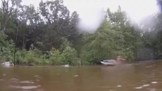 Real Flying Duck Decoys (part 2)