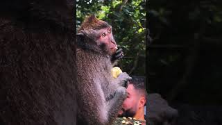 Day In The Life in Bali Pt. 1