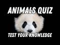 Can you Answer this Animal Quiz 🦁🐼🐶 | Fun Animal Quiz 2026 |  [LEARN💡] #10