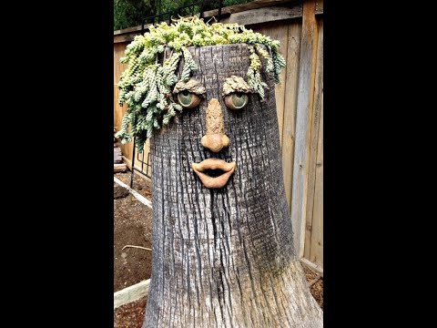 To remove tree stump palm tree
