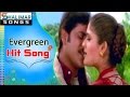 Evergreen hit song of the day  swapna venuvedo song  shalimarcinema