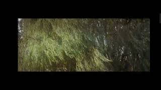 Acı Tatlı Hayat Başlangıç