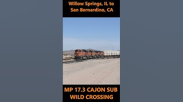 BNSF 7581 WB Z-WSPSBD Willow Springs, IL to San Bernardino, CA 2-8-2025