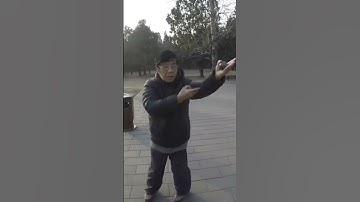 Xu Shi Xi demonstrating Baguazhang Iron Ball power training #baguazhang #kungfu #martialarts