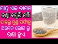 Chia Seeds Benefits In Odia Language Home Remedies Odia Odia Health Tips