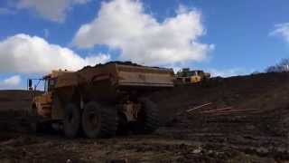 IMG 4251