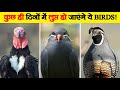 जल्द ही लुप्त हो सकते हैं ये पक्षी! | Critically Endangered Birds in India | Endangered Birds