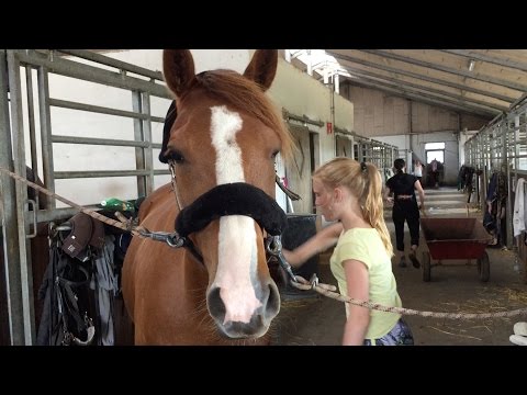 Video: Trojan Horse: Hvordan Var Denne Hesten, Og Var Den Jevn? - Alternativ Visning