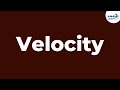 What is Velocity? | Physics | Don't Memorise