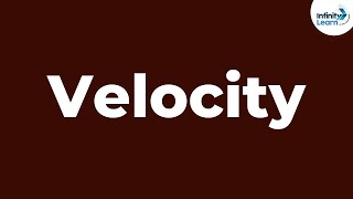 What Is Velocity? - Full Concept Of Velocity - Physics Infinity Learn