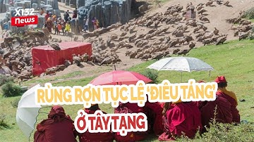 RÙNG RỢN TỤC LỆ ĐIÊU TÁNG Ở ... | X132NEWS