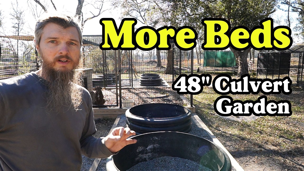 We Can Build More! Fancy Backyard Culvert Garden Expanded