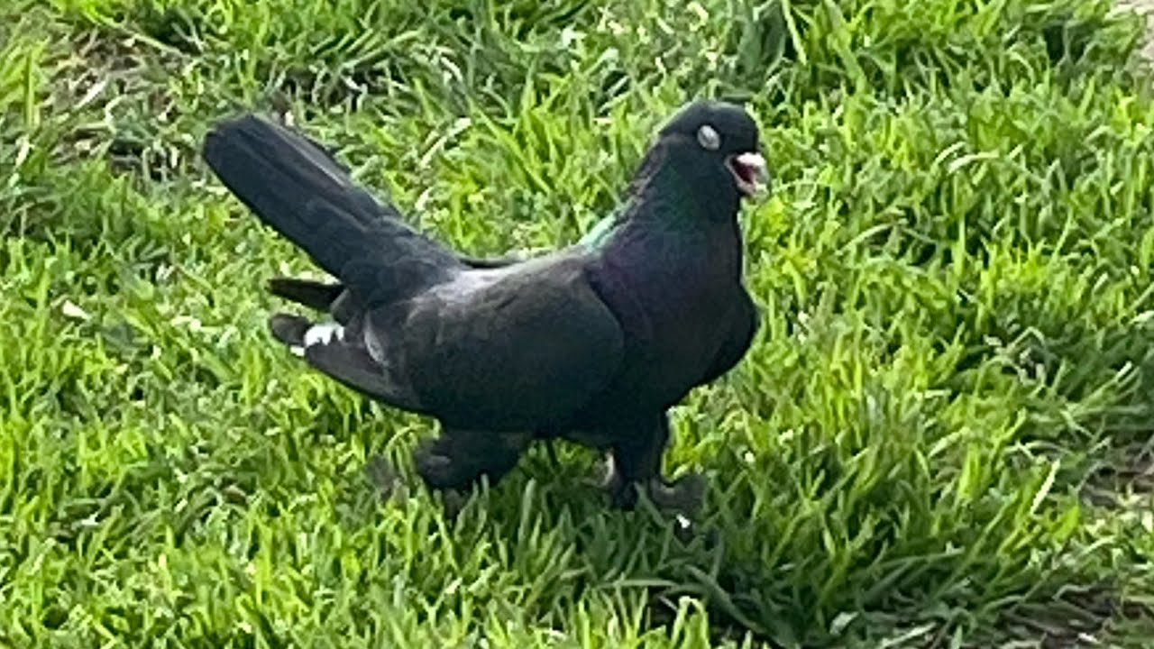 KÜMES SOHBETİ 3. Bölüm 