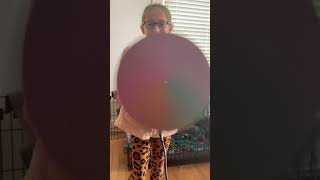 IMG 3472