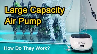 Best Adjustable Quiteest Small Aquarium Air Pump|Seabillion
