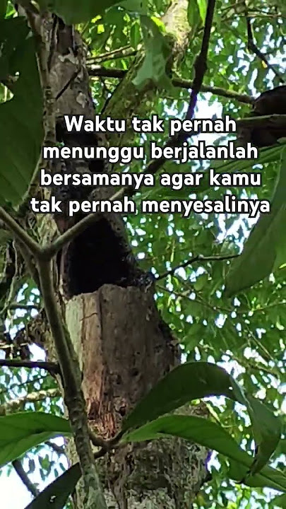 kata-kata filosofi dalam kehidupan 4. #short #shorts #subscribe #shortvideo #trending #katakatabijak