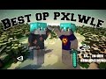 Best of pxlwlf  pixelwolf  wisiplays