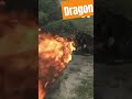 Dragon vfx funny new tribike comedy desi triathlonbike fun trip travel desifusion