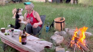 Campfire dinner with my cats & dogs Full moon ZOO