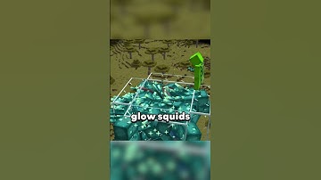 How are these squids flying in Minecraft? (Weird glitch).