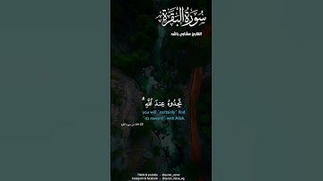 #fyp #foryou #foryoupage #viral #quran #مشارى #تلاوة