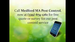 Medford MA Pest Control | Pest Control Service Medford MA | Medford MA Exterminator