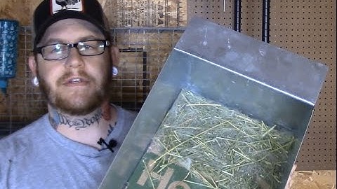Raising Meat Rabbits: Nest box maintenance